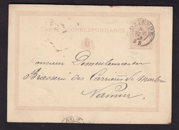 37/016 - BRASSERIE Belgique - Vers Brasseur Demeulemeester à NAMUR Sur Entier Postal OSTENDE 1874 - Bières