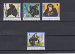 SIERRA LEONE CHIMPANZEES.MNH. - Chimpansees