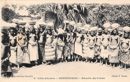 COTE D'IVOIRE - BONDOUKOU - RECOLTE DU COTON  - OUVRIERES - NU FEMININ, NU ETHNIQUE - Côte-d'Ivoire
