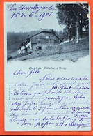 X98162 ⭐ VEVEY Suisse VD Vaud Chalet Des PLEIADES 1901 Albert BONJOUR Chez à ALBY Rue Tolosane Castres / KLAUSFELDER - VD Vaud