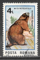 Romania 1985. Scott #3305 (U) Retezat Natl. Park, 50th Anniv. Marmota Marmota - Gebruikt