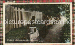 GREENOCK THE WELL AUCHMOUNTAIN GLEN OLD COLOUR TARTAN BORDERED POSTCARD MACINTOSH SCOTLAND - Renfrewshire