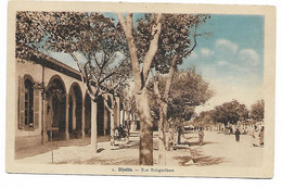 Carte Postale DJELFA  RUE BOISGUILBERT    Algerie - Djelfa