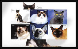 0404/ Bloc Chats (chat Cats Cat) Neuf ** MNH Tirage Privé Vignette I Non Dentelé ** (imperforate) - Gatos Domésticos