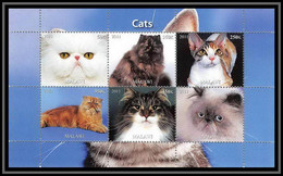 0426/ Bloc Chats (chat Cats Cat) Neuf ** MNH Tirage Privé Vignette - Gatos Domésticos