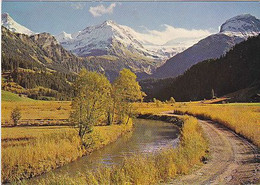 AK 062748 SWITZERLAND - Lauenen-Gstaad & Wildhorn - Lauenen