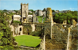 Bishop's Palace And The Cathedral, St. Davids (N.P.O.Dexter- W1313-58513C) - Pembrokeshire