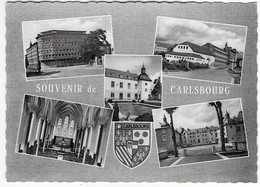 CPSM MULTIVUES SOUVENIR DE CARLSBOURG, PALISEUL, PROVINCE DE LUXEMBOURG, BELGIQUE - Paliseul