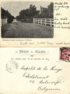 Australia, SA, HENLEY BEACH, Village In Flood, Reedbeds (1906) Postcard - Altri & Non Classificati