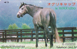 Télécarte JAPON / 110-016 -  ANIMAL - CHEVAL - HORSE JAPAN Phonecard - PFERD - 437 - Chevaux