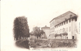 CPA - Montluel - L'hôpital & Promenade Des Tilleuls - Montluel