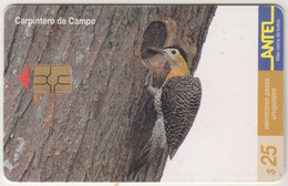 URUGUAY - Carpintero De Campo (Bird), TC 117a, Chip:GEM5 (Red), 25 $ , Tirage 200.000, Used - Uruguay