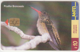 URUGUAY - Picaflor Bronceado (Bird), TC 127a, Chip:GEM5 (Red), 10 $ , Tirage 200.000, Used - Uruguay