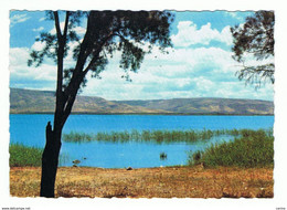 ISRAEL:  THE  LAKE  OF  TIBERIAS  -  TO  SWITZERLAND  -  FG - Châteaux D'eau & éoliennes