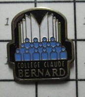 1316b Pin's Pins / Beau Et Rare / THEME : ADMINISTRATIONS / COLLEGE CLAUDE BERNARD - Administrations