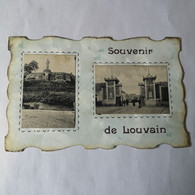 Leuven - Louvain // Souvenir De Louvain 190? - Leuven