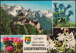 Liechtenstein - Vaduz - Schloß - Castle - Ansichten - Blumen - Nice Stamp 1967 - Liechtenstein