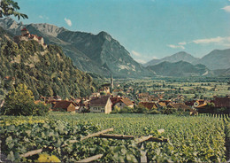 Liechtenstein - Vaduz - Gegen Süden , Falknis, Mittagspitze, Calanda (1959) - Liechtenstein