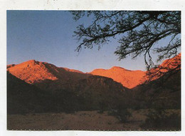 AK 062987 NAMIBIA - Abends In Der Amis Schlicht - Namibia