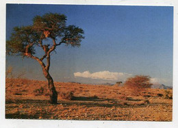 AK 062991 NAMIBIA - Abendstimmung Im Namib-Naukluft-Park - Namibia