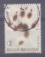 Belgie - 2018 - OBP - 4764 - Steenmarter - Usati