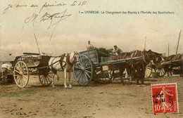 Charron , Environs De La Rochelle * 1909 * Chargement Des Moules à L'arrivée Des Boucholeurs * Pêche Pêcheurs Bouchots - Other & Unclassified