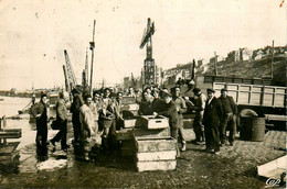 Boulogne Sur Mer * Déchargement Du Poisson * Bateaux Pêche Pêcheurs - Boulogne Sur Mer