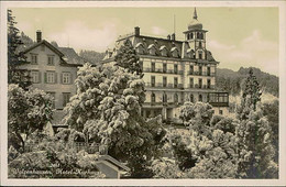 SWITZERLAND - WALZENHAUSEN - HOTEL KURHAUS - EDIT FREI & CO. 1920s (14147) - Walzenhausen