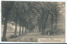Diest - Wandeldreef Aan De Schaffensche Poort - Promenade Vers La Porte De Schaffen - 1925 - Diest
