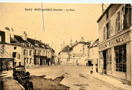 Recey Sur Ource * La Place Du Village * Commerces Magasins PEPPIN CRANCE - Other & Unclassified