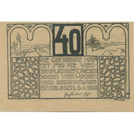 Billet, Autriche, Altenfelden, 40 Heller, Paysage 1920 SPL Mehl:FS 27Ic - Oesterreich