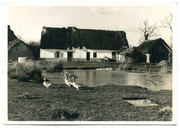 44410 Près De Guérande - SAINT-LYPHARD - Lot De 2 CPM - Voir Détails Dans La Description - Saint-Lyphard