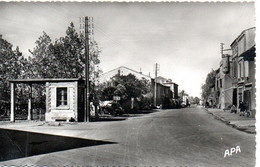 VILLEFRANCHE D'ALBIGEOIS  AVENUE D'ALBI - Villefranche D'Albigeois