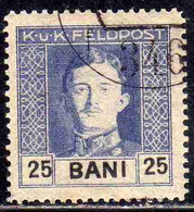 AUSTRIAN OCCUPATION OF ROMANIA OCCUPAZIONE AUSTRIACA 1918 EMPEROR CARL I 25b  USED USATO OBLITERE' - Bezetting