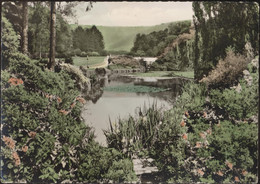 Bad Pyrmont - Staatsbad - Im Kurpark - 1959 Gelaufen Werbestempel - Jever