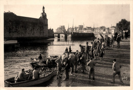 Concarneau * Le Débarquement Des Thons * Pêche Pêcheurs - Concarneau