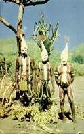 Australia, NT, Native Aboriginals Dressed For Corroboree In Arnhem Land Postcard - Aborigènes