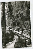 AK 063273 GERMANY - Todtmoos Im Südl. Hochschwarzwald - Rabenschlucht - Todtmoos