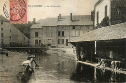 Raucourt * Vue Sur Le Ruisseau * Lavoir Laveuses Lavandières - Autres & Non Classés