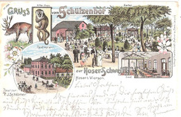 VIERSEN Westfalen Gruss Aus Schützenhof Zur Hoser Schweitz Affenhaus Hirschgarten Color Litho Gelaufen 13.8.1906 - Viersen