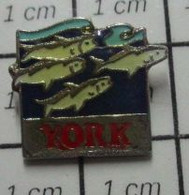 1316A Pin's Pins / Beau Et Rare / THEME : ALIMENTATION / POISSON PECHE PECHEUR YORK - Alimentation