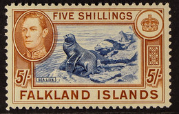 1938-50 KGVI 5s Blue & Chestnut 'Southern Sea-lion' Pictorial Definitive, (SG 161), Never Hinged Mint. - Falkland Islands