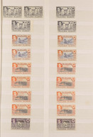 KGVI FINE MINT (MUCH NEVER HINGED) HOARD On Stockleaves. Strength In 1938-50 Definitives Including Shades And Multiples  - Falkland Islands