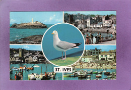 ST IVES  Multiview - St.Ives