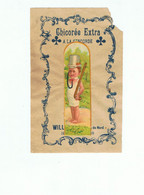 Chicorée Extra-williot Fils-enfant - Enfants