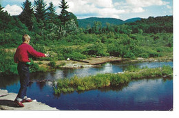 SAINTE ANNE DES MONTS  -  STE ANNE DES MONTS  -  Anticipation ... (pêche) - Gaspé