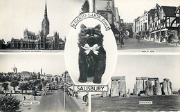 SALISBURY - Multivues - Salisbury
