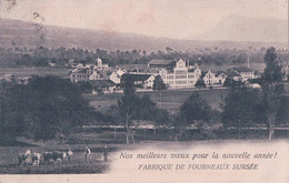 Sursee LU,  Fabrique De Fourneaux Sursee, Usine Et Troupeau De Bétail (30.12.1903) - Sursee