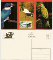 Oiseaux Du Mexique ., Carte-maximum 2011 - Songbirds & Tree Dwellers