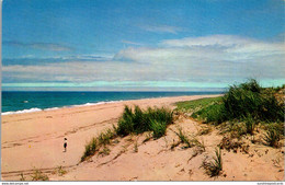 Massachusetts Cape Cod View Of Ocean And Sand Dunes - Cape Cod